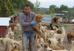 Böyle güzel insanlar da var