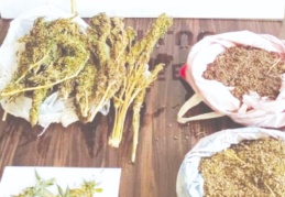 Brandaya gizlenen esrarı narkotik köpeği buldu