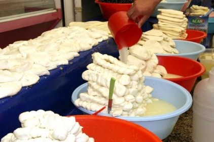 Brusella erkeklerde kısırlık nedeni