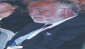 Bu adam kim?