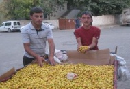 Bu alıç başka alıç