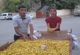 Bu alıç başka alıç
