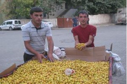 Bu alıç başka alıç