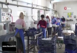 Bu fabrikada çalışanların tamamı kadın