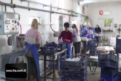 Bu fabrikada çalışanların tamamı kadın