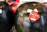 Bu karpuz 42 bin liraya satılıyordu