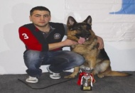 Bu kez güzel köpekler marifetlerini sergiledi
