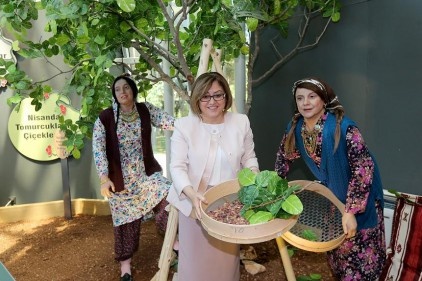 Bu müzede, Antep fıstığının hikayesi var
