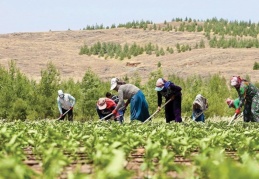 “Bu tablo devam ederse yoksulun yemeği çorba olacak”