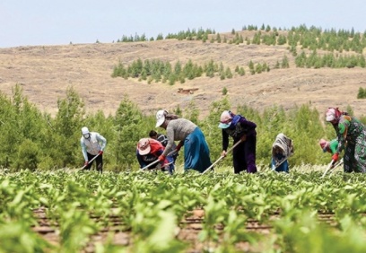“Bu tablo devam ederse yoksulun yemeği çorba olacak”