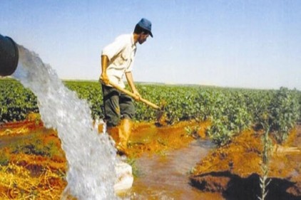 Bu yıl Çiftçi kayıt sisteminde iki yıl birlikte işlenecek