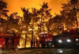 Bu yıl yanan orman alanı son 20 yılın toplamı kadar