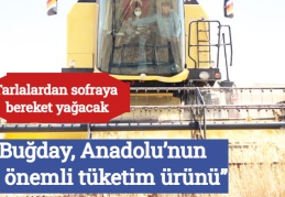 “Buğday, Anadolu’nun en önemli tüketim ürünü”