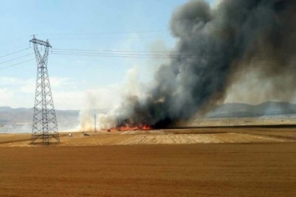 Buğday ekili arazide yangın 