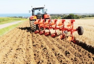 "Buğday ekim alanları 15 yılda 24,5 milyon dekar azaldı"