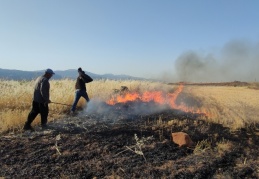 Buğday tarlasındaki anız yangını korkuttu