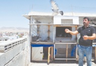 Bulgaristan’dan havalanan posta güvercinleri Kızıltepe’ye ulaştı