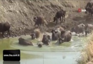 Burası Afrika değil, Ergani