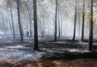 Aynı bölgede bir hafta içinde ikinci yangın