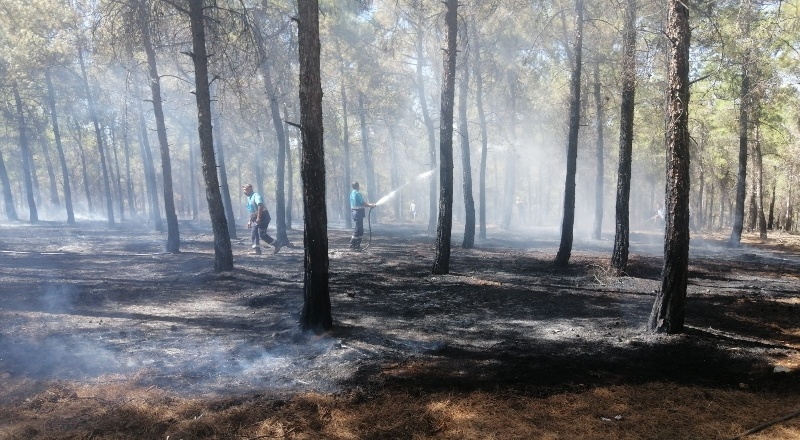 Aynı bölgede bir hafta içinde ikinci yangın