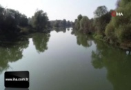 Bursa'da yine çevre katliamı!