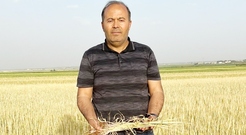 Buruk, verimsiz ve bereketsiz bir hasat dönemi yaşıyoruz