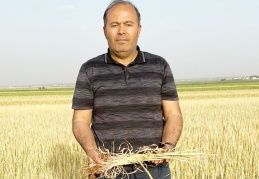 Buruk, verimsiz ve bereketsiz bir hasat dönemi yaşıyoruz