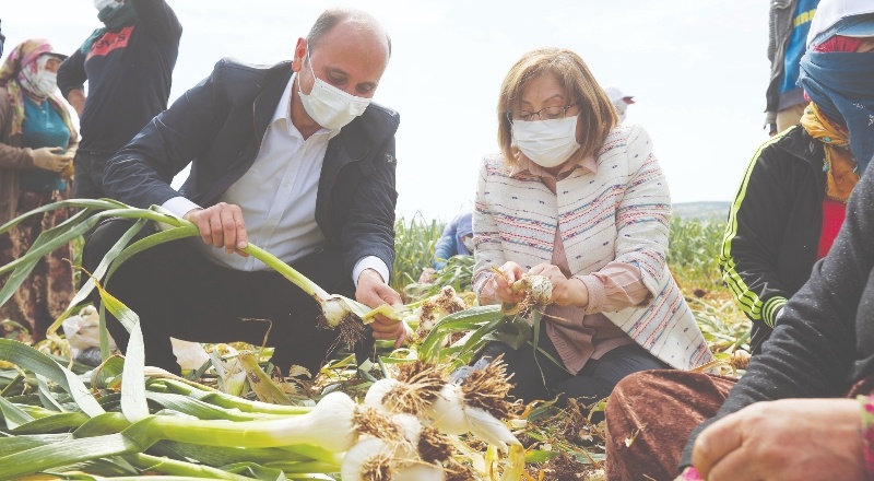 “Bütün dünyaya şifayı Araban’dan dağıtacağız”