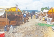Büyük şehirlerde pazarlara gelen besiciler, fiyatlar nedeniyle satışlardan umutsuz