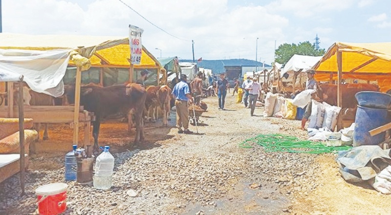 Büyük şehirlerde pazarlara gelen besiciler, fiyatlar nedeniyle satışlardan umutsuz