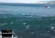 Büyükada'da kıyıya vuran dalgalar nedeniyle vatandaşlar ölümden döndü