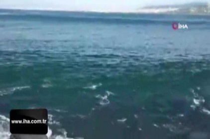 Büyükada&#039;da kıyıya vuran dalgalar nedeniyle vatandaşlar ölümden döndü