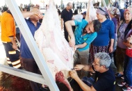 Büyükbaş hayvanlar kasaplara zor anlar yaşattı