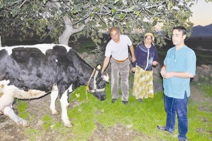 Büyükbaş hayvanlarda &#8216;Afrika Hastalığı&#8217; başgösterdi