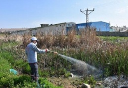 Büyükşehir Belediyesi, merkez ve ilçelerde ilaçlama yapıyor