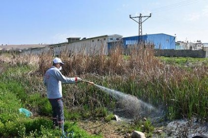 Büyükşehir Belediyesi, merkez ve ilçelerde ilaçlama yapıyor
