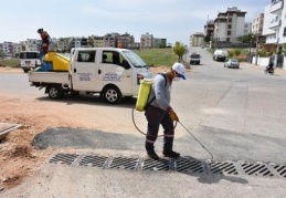 Büyükşehir Belediyesi, merkez ve ilçelerde ilaçlama yapıyor