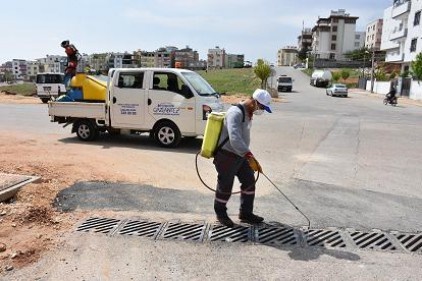 Büyükşehir Belediyesi, merkez ve ilçelerde ilaçlama yapıyor