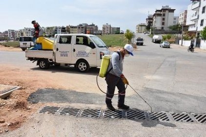 Büyükşehir, nihayet ilaçlama çalışmalarına başladı 