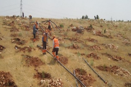 Büyükşehir&#039;den ilaçlama ve ağaçlandırma çalışması yapıyor