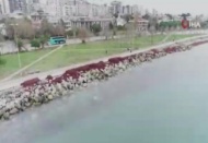 Caddebostan Sahili kızıla büründü