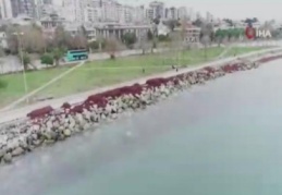 Caddebostan Sahili kızıla büründü