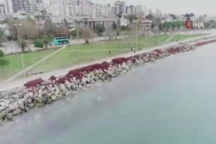 Caddebostan Sahili kızıla büründü