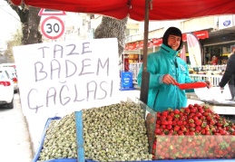 Çağla, geçen yıl 60 liradan başlamıştı, bu yıl 100 lira