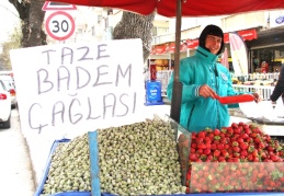 Çağla, geçen yıl 60 liradan başlamıştı, bu yıl 100 lira