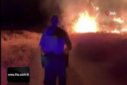 California&#039;da orman yangınları söndürülemiyor