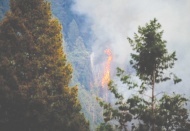 California'daki yangınlar için 'büyük afet' ilanı talep edildi