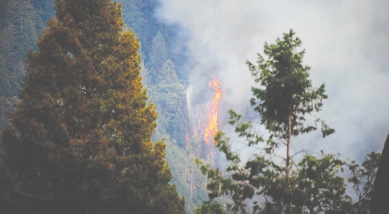 California'daki yangınlar için 'büyük afet' ilanı talep edildi