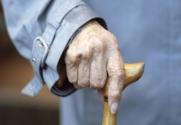 Çalışan yaşlı nüfusun yüzde 65,5'i tarım sektöründe 