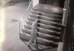 Camiye 'örümcek adam' gibi tırmanıp sadaka kutusunu boşalttı